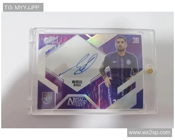 ebay平台热门足球球星卡收藏投资与市场行情分析 ebay平台热门足球球星卡收藏投资与市场行情分析